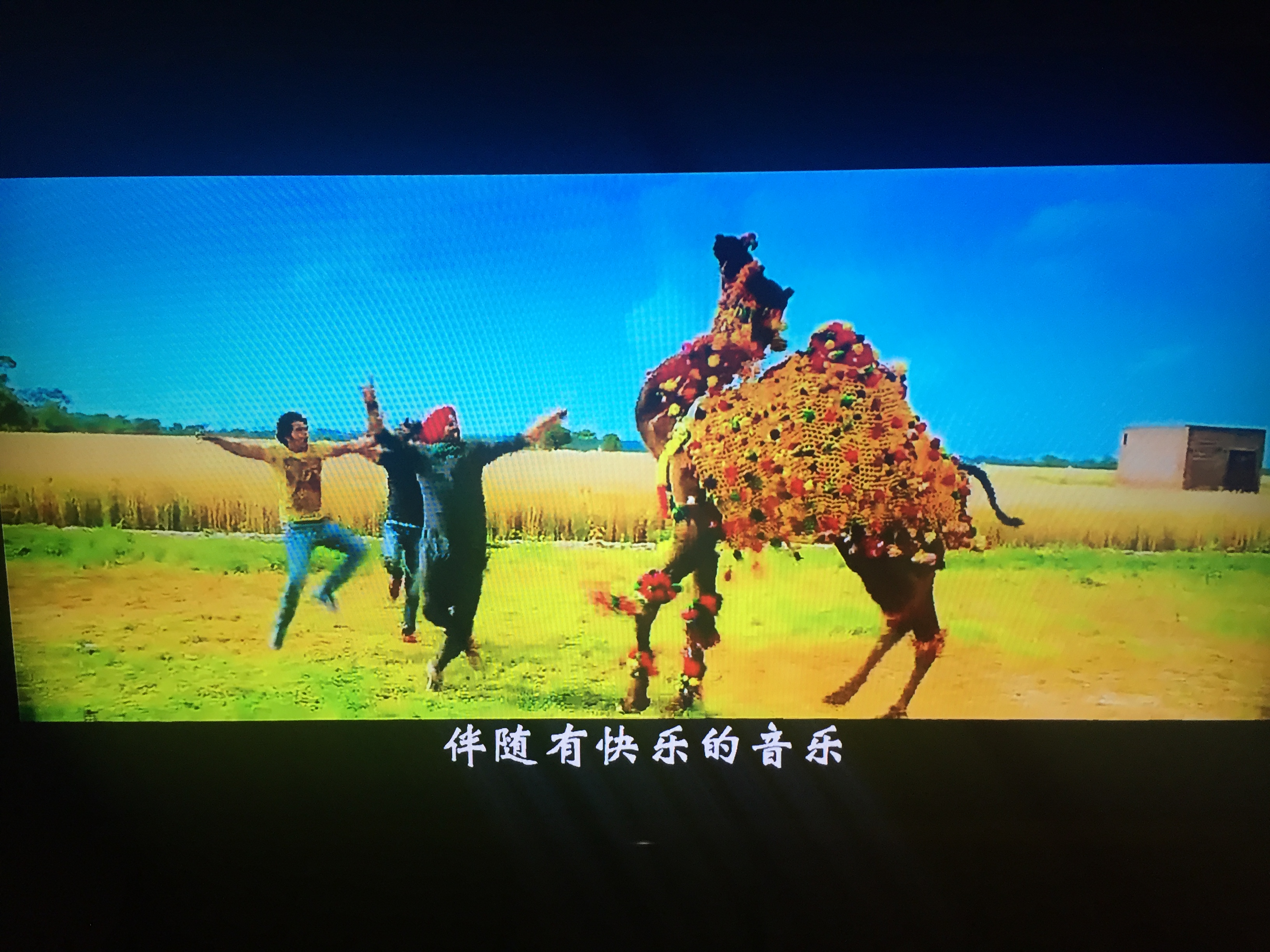 辛格金闪闪剧照的剧照