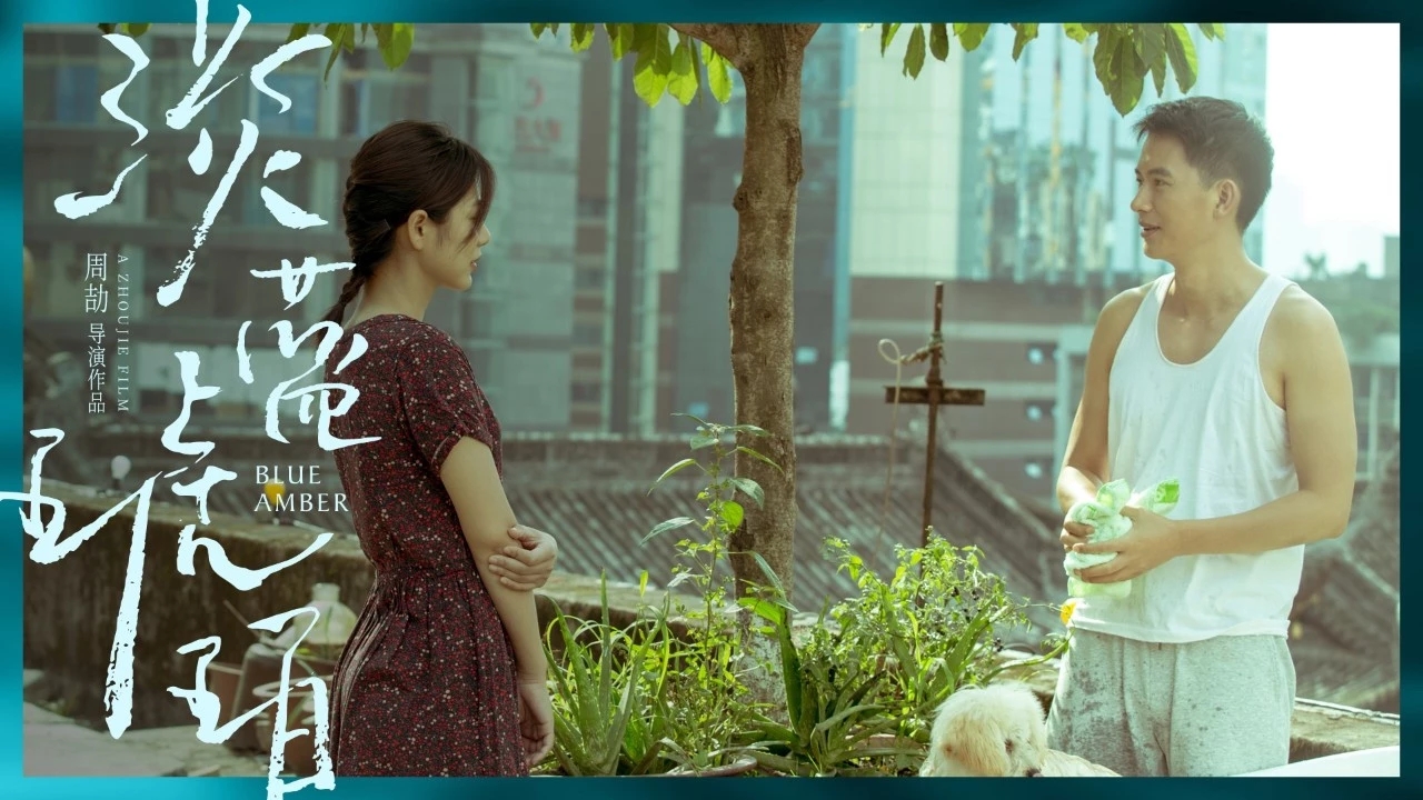淡蓝琥珀剧照的剧照
