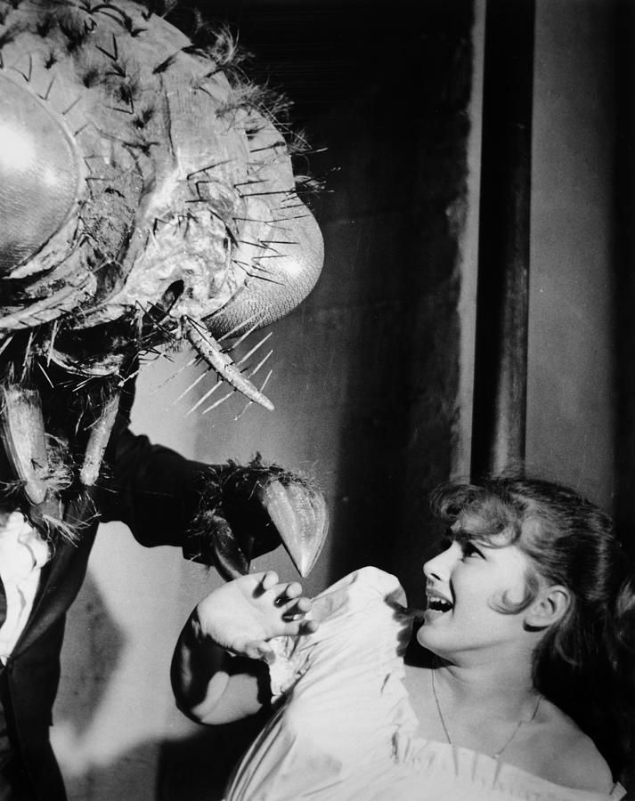 变蝇人回归剧照的剧照