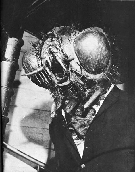 变蝇人回归剧照的剧照