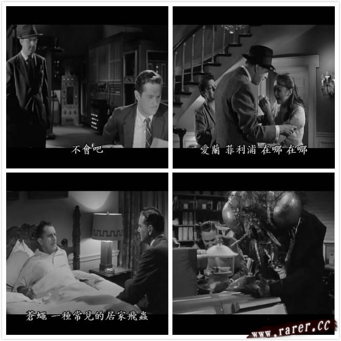 变蝇人回归剧照的剧照