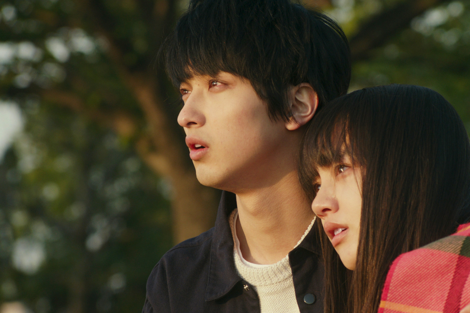 爱歌：约定的承诺剧照的剧照