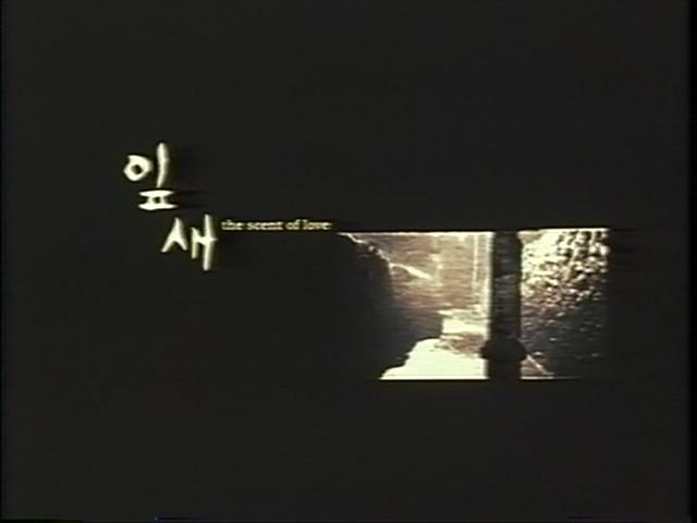 叶子剧照的剧照