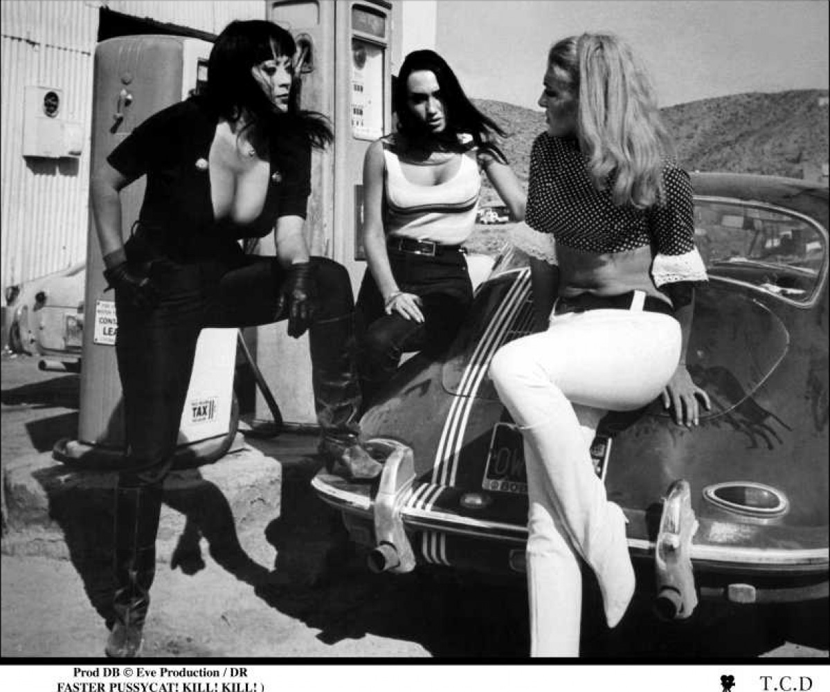 小野猫公路历险记剧照的剧照