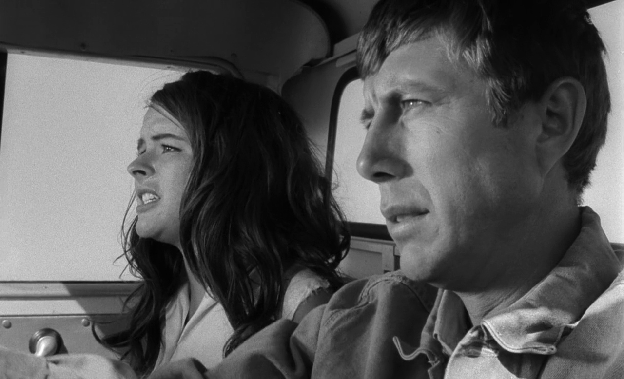 小野猫公路历险记剧照的剧照