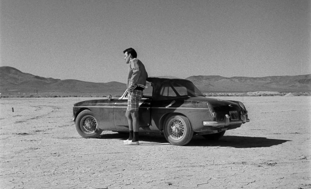 小野猫公路历险记剧照的剧照