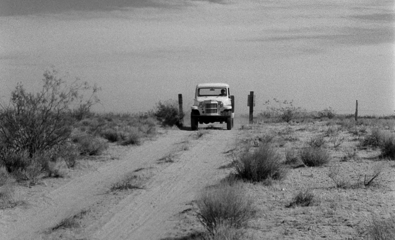 小野猫公路历险记剧照的剧照