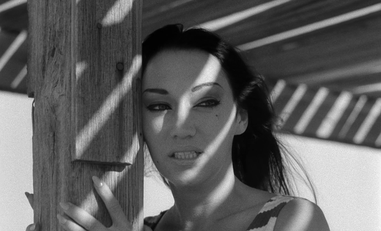 小野猫公路历险记剧照的剧照