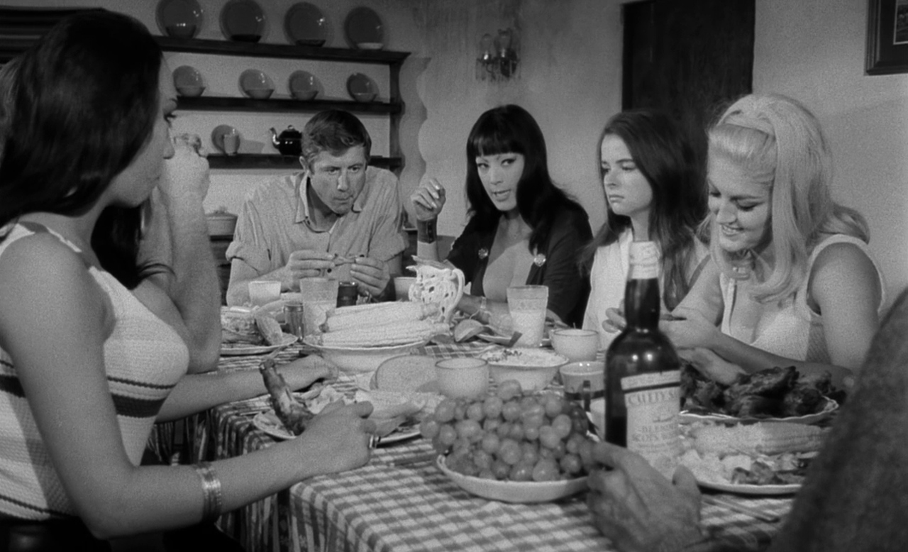 小野猫公路历险记剧照的剧照