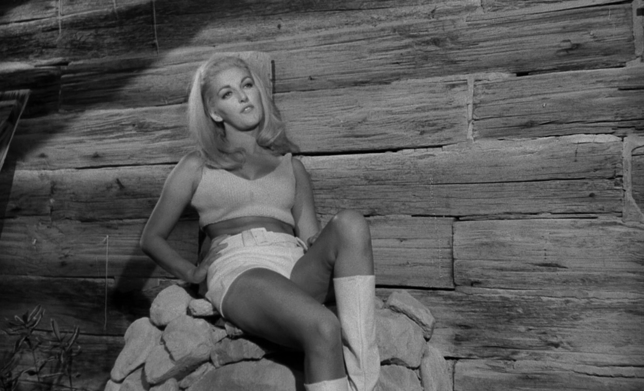 小野猫公路历险记剧照的剧照