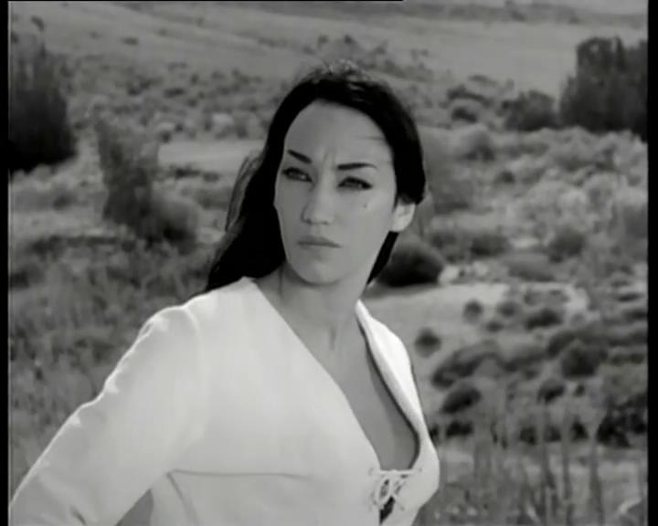 小野猫公路历险记剧照的剧照