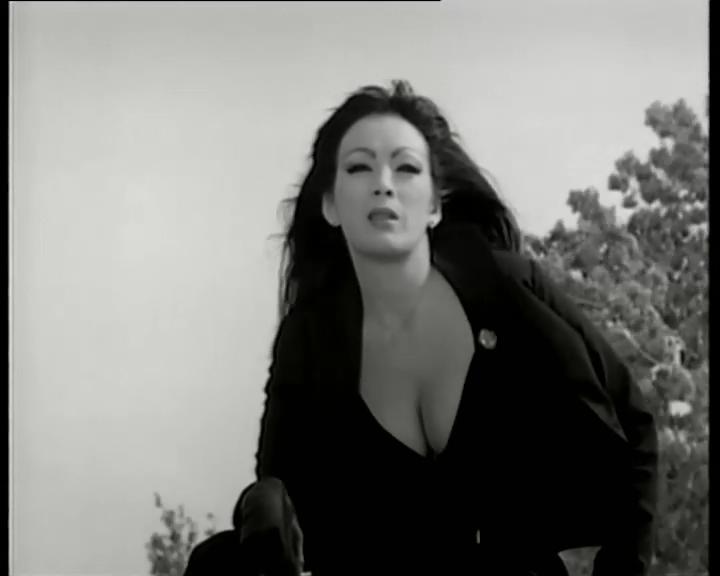 小野猫公路历险记剧照的剧照