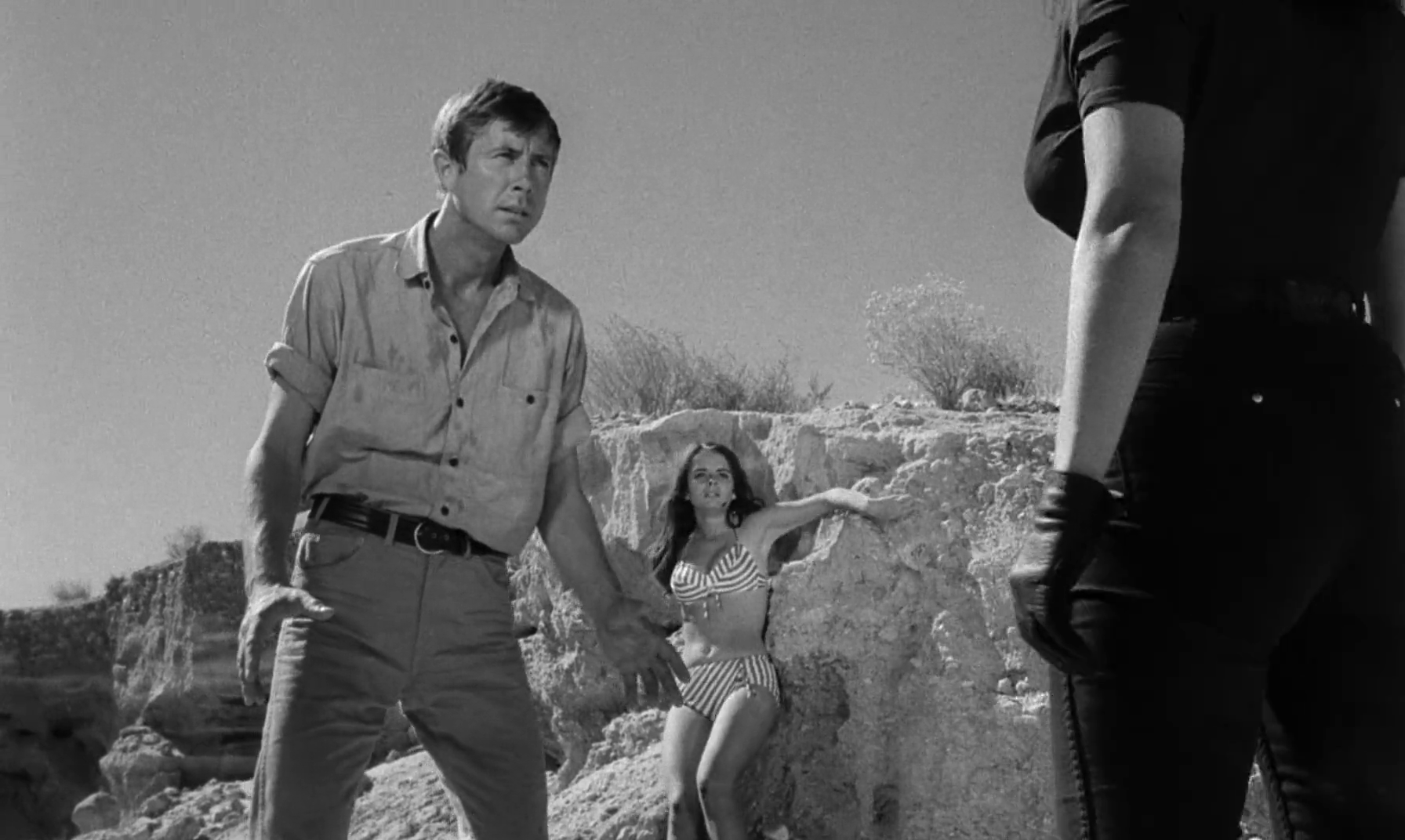 小野猫公路历险记剧照的剧照