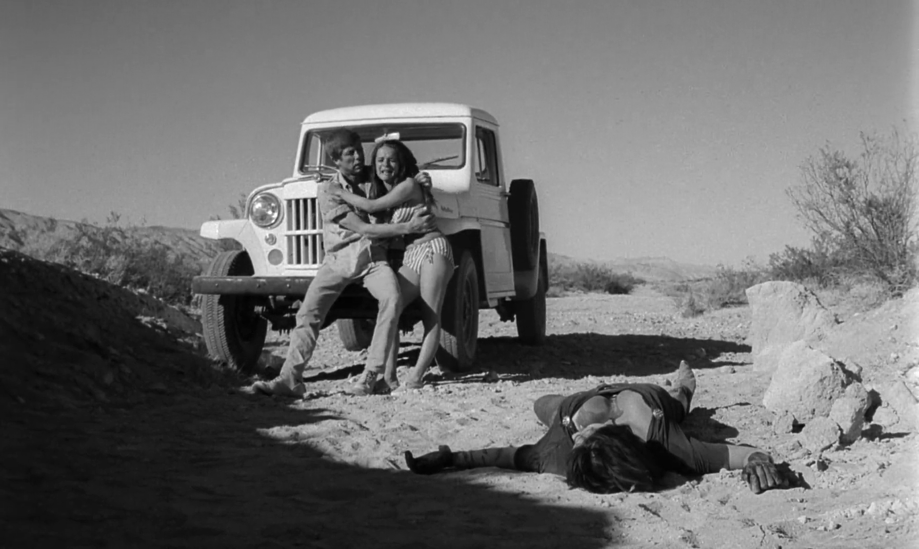 小野猫公路历险记剧照的剧照