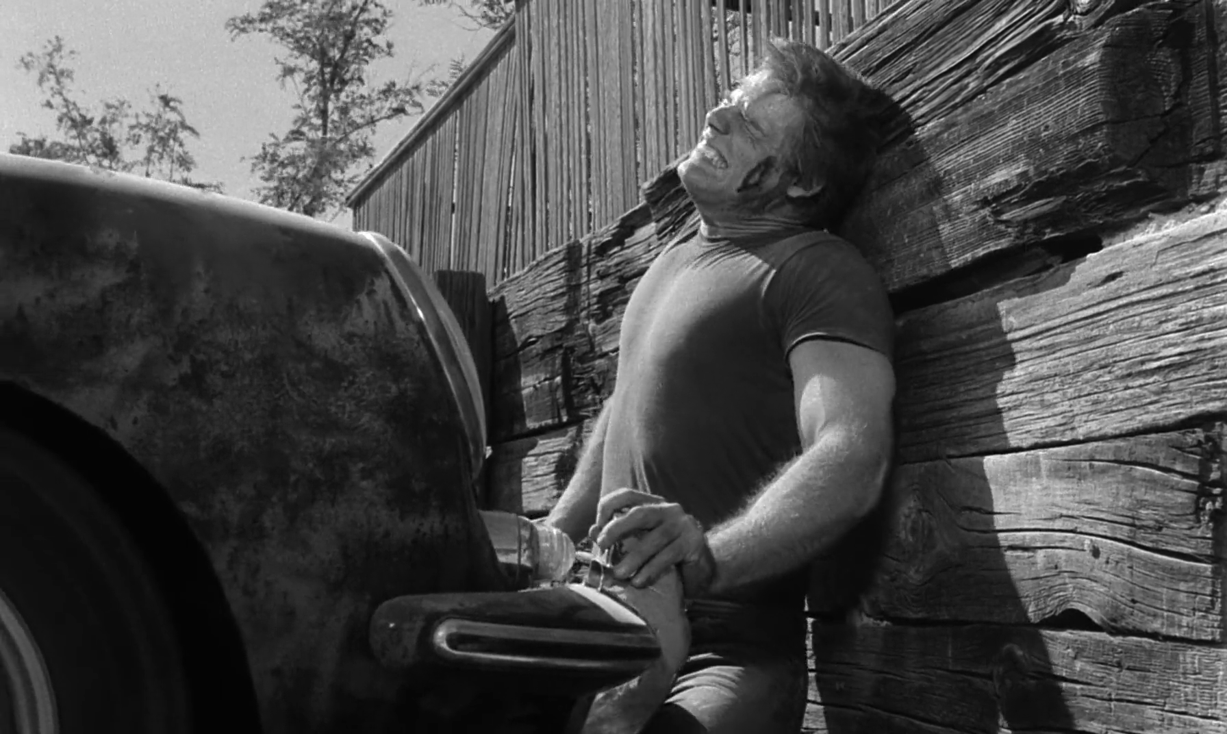 小野猫公路历险记剧照的剧照