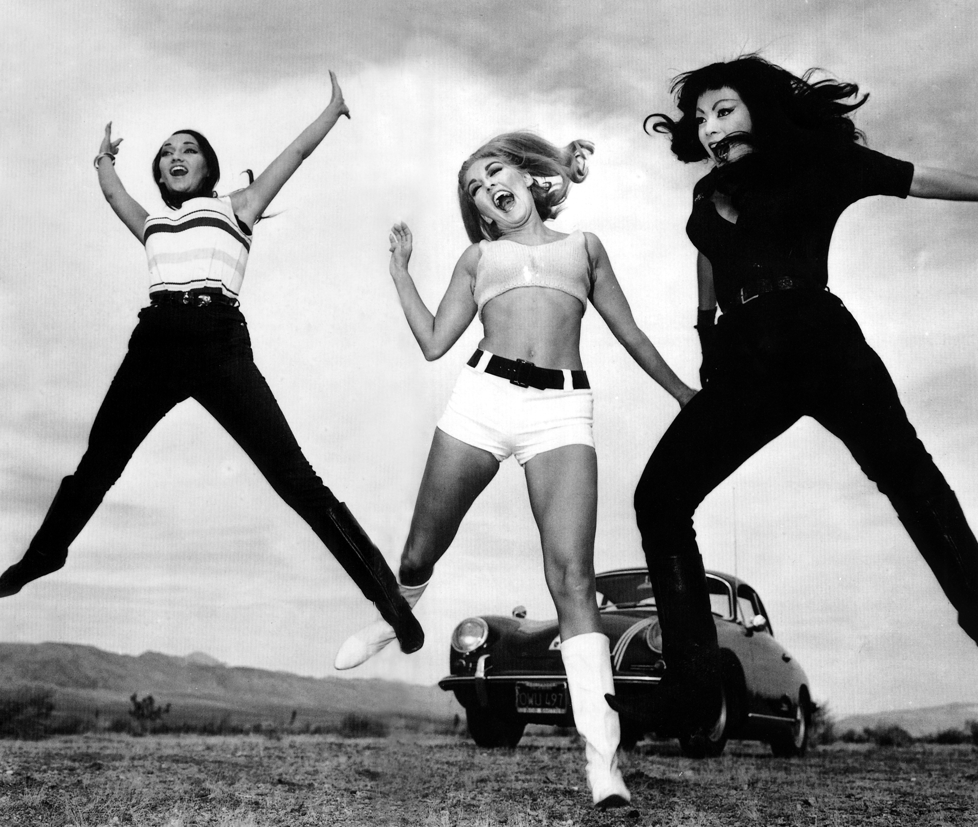 小野猫公路历险记剧照的剧照