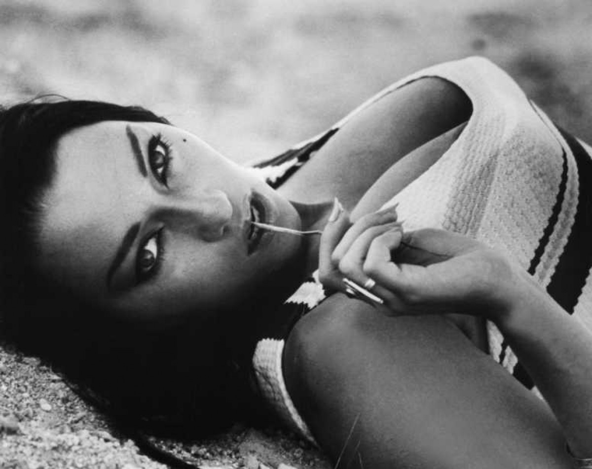 小野猫公路历险记剧照的剧照