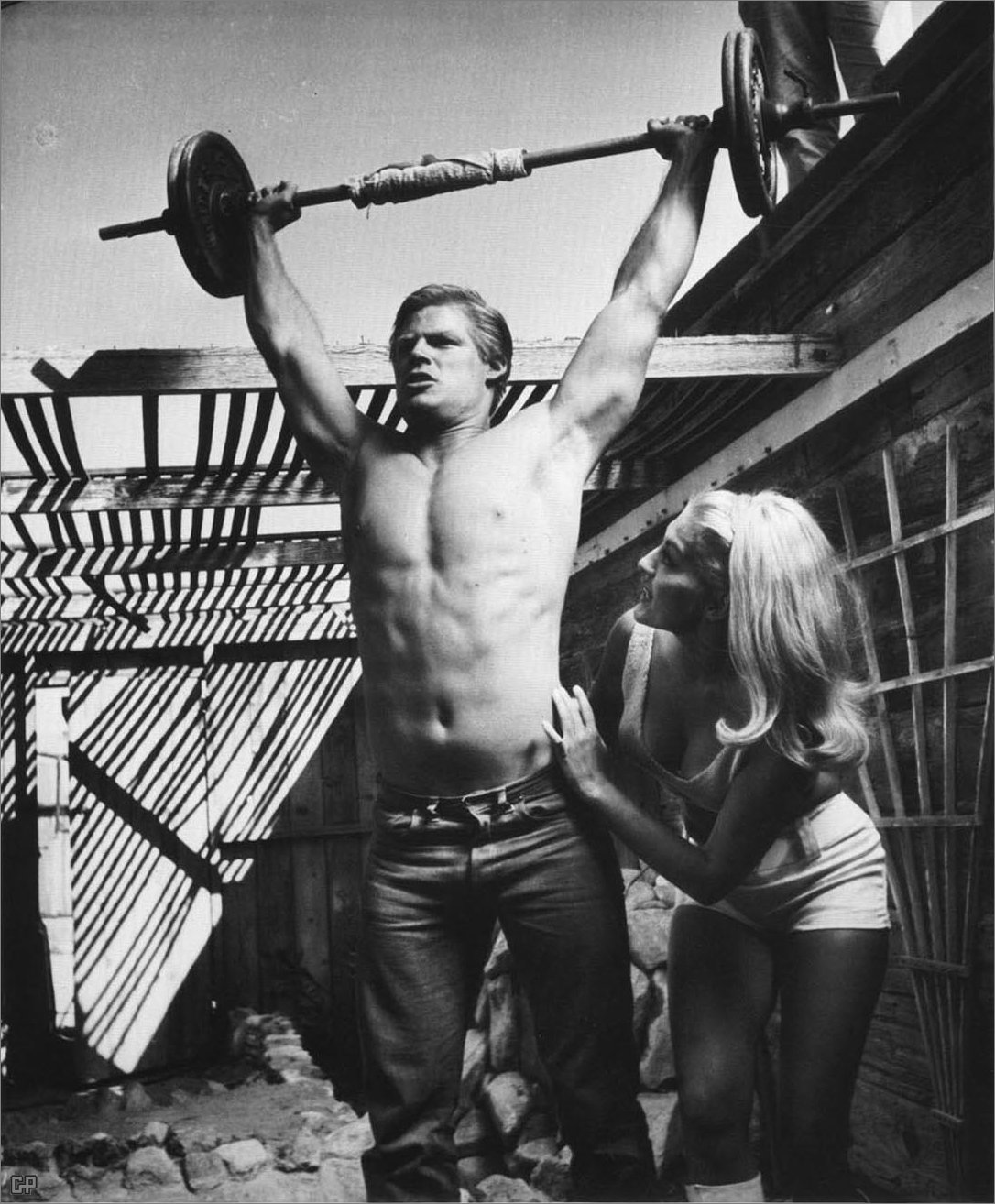 小野猫公路历险记剧照的剧照