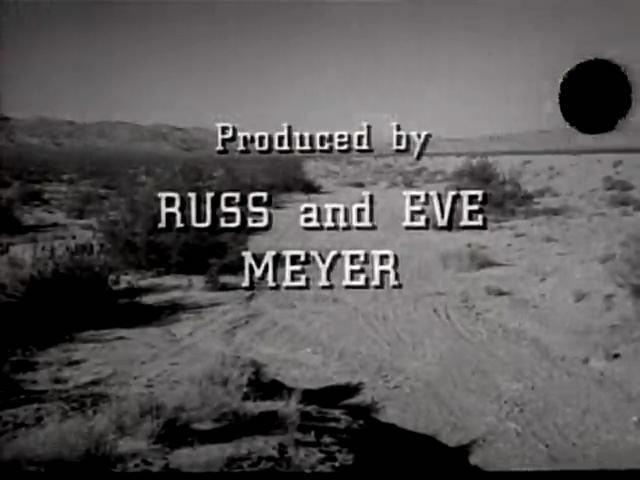 小野猫公路历险记剧照的剧照