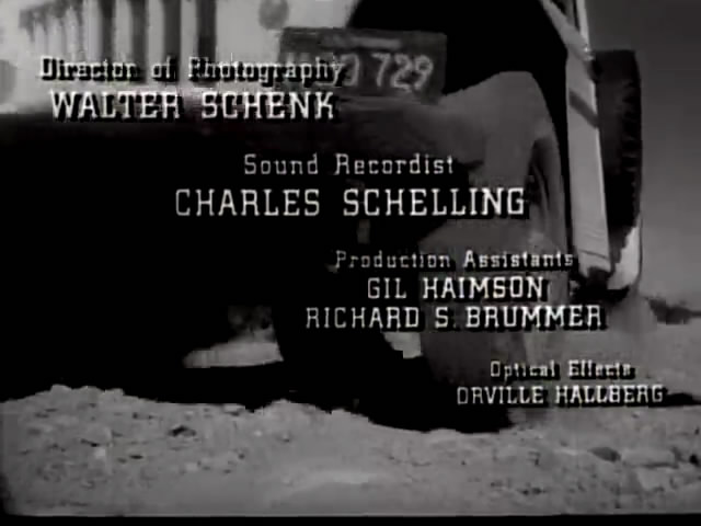 小野猫公路历险记剧照的剧照