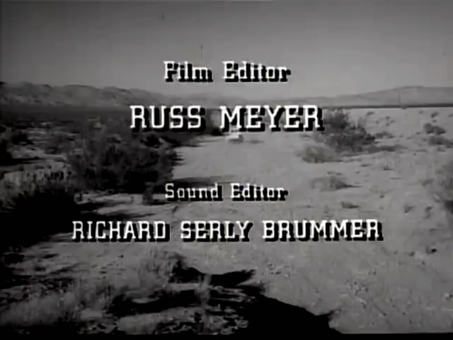 小野猫公路历险记剧照的剧照