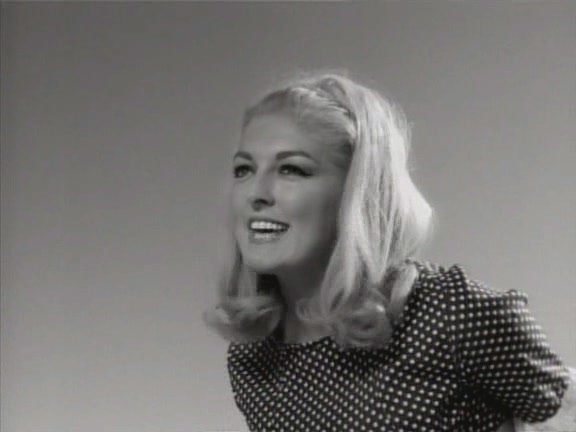 小野猫公路历险记剧照的剧照