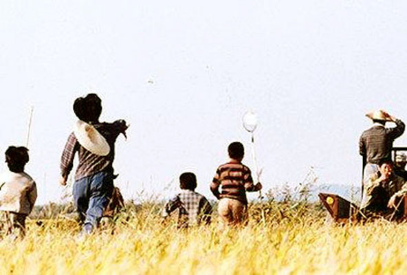 杀人回忆剧照的剧照