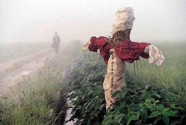 杀人回忆剧照的剧照