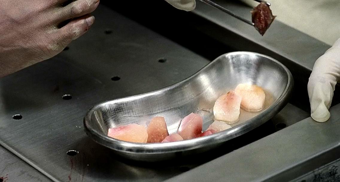 杀人回忆剧照的剧照