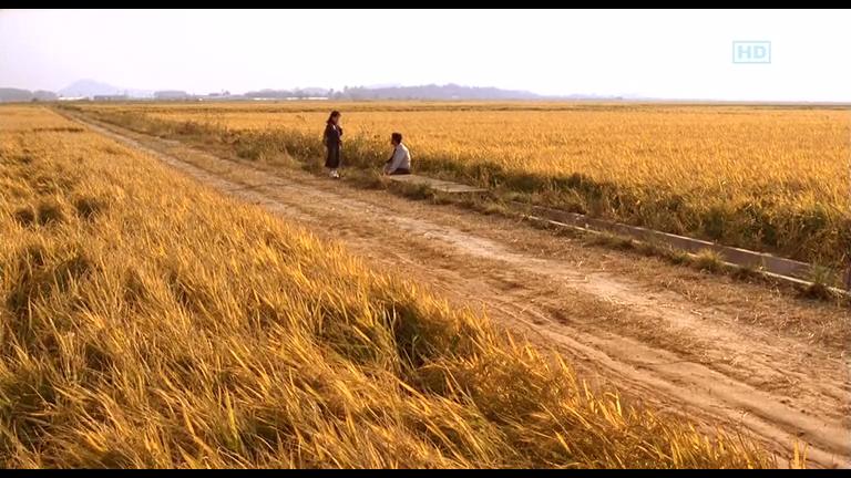 杀人回忆剧照的剧照