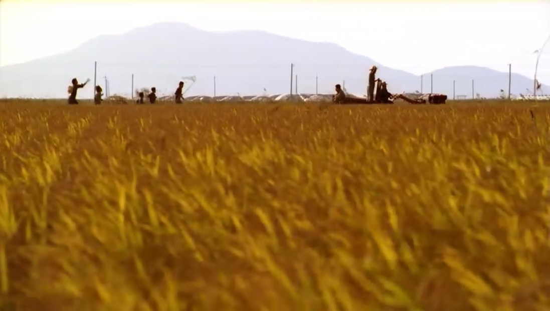 杀人回忆剧照的剧照