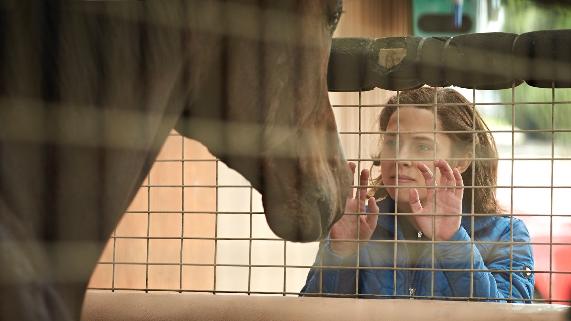 赛马女孩剧照的剧照