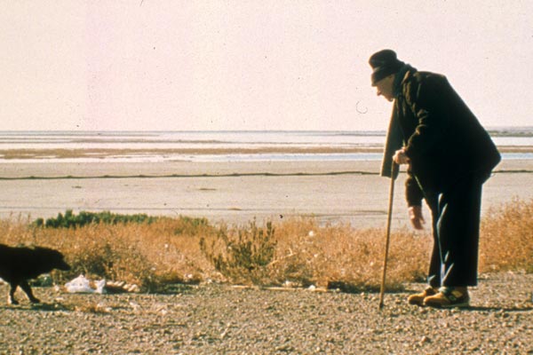 些许故事剧照的剧照