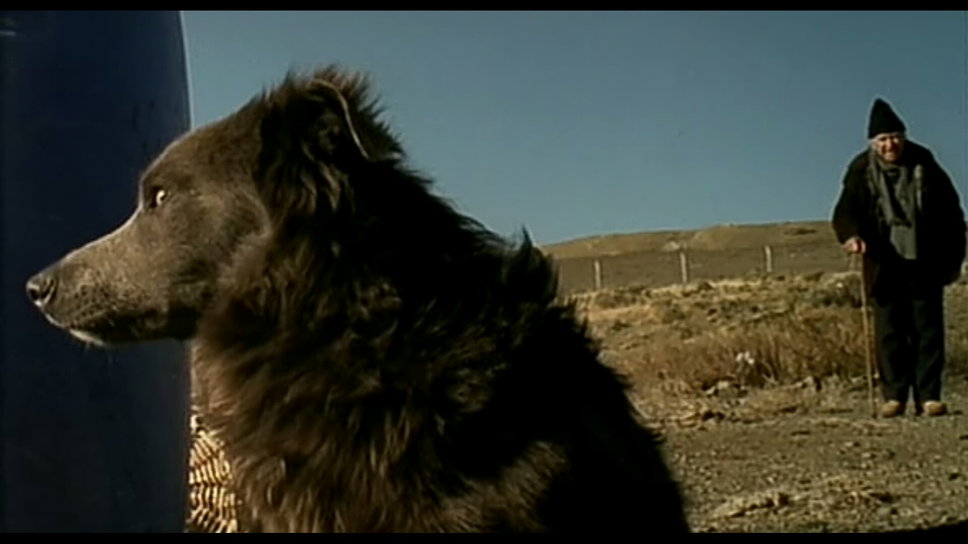 些许故事剧照的剧照