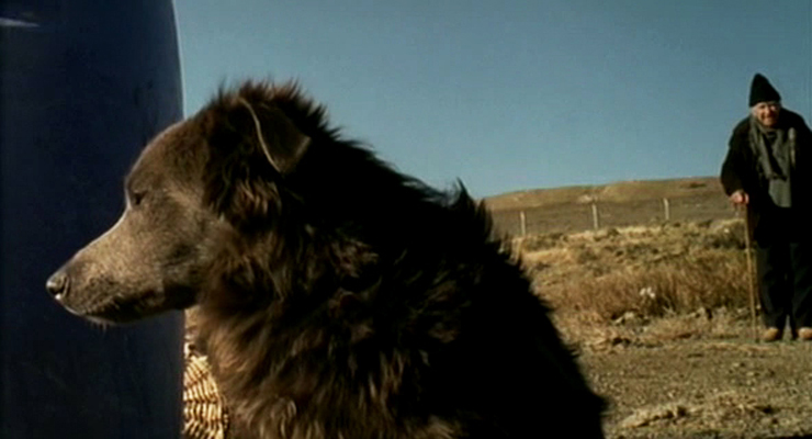 些许故事剧照的剧照