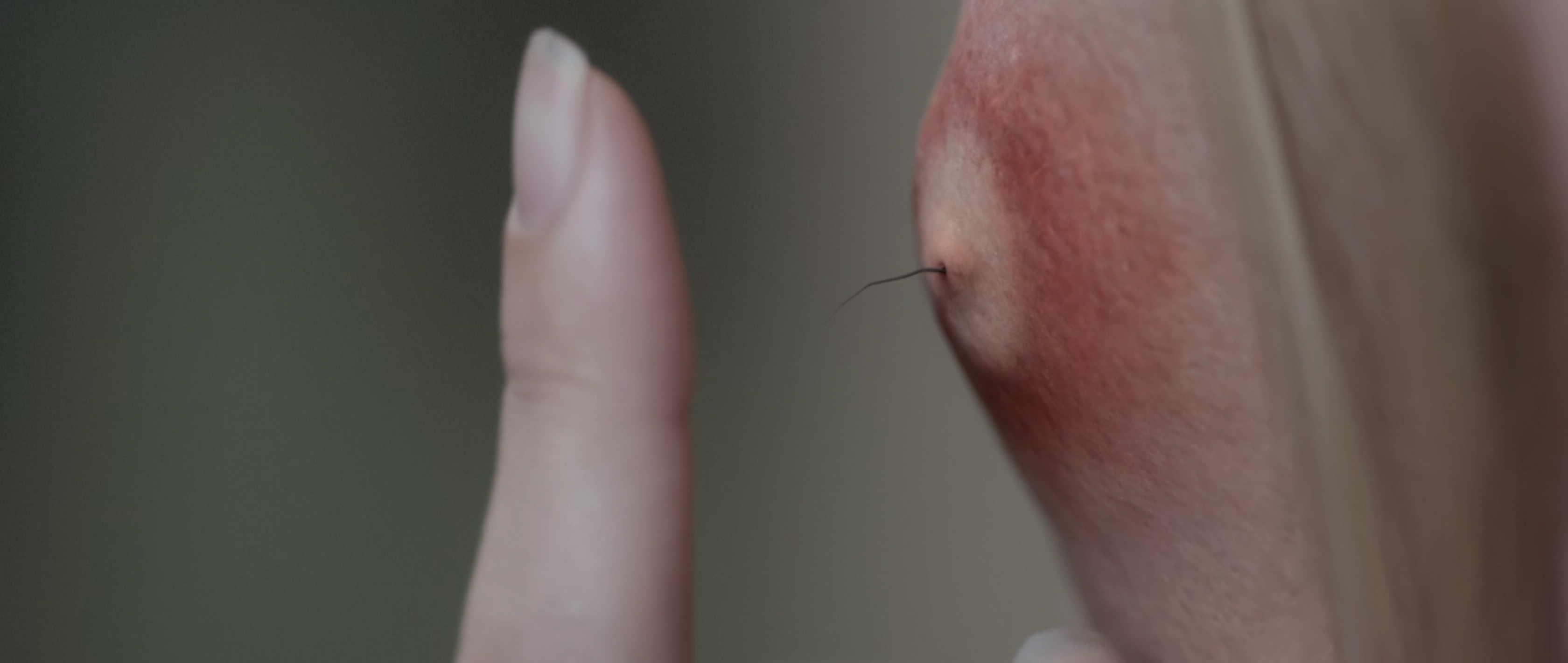 在黑暗中讲述的恐怖故事剧照的剧照