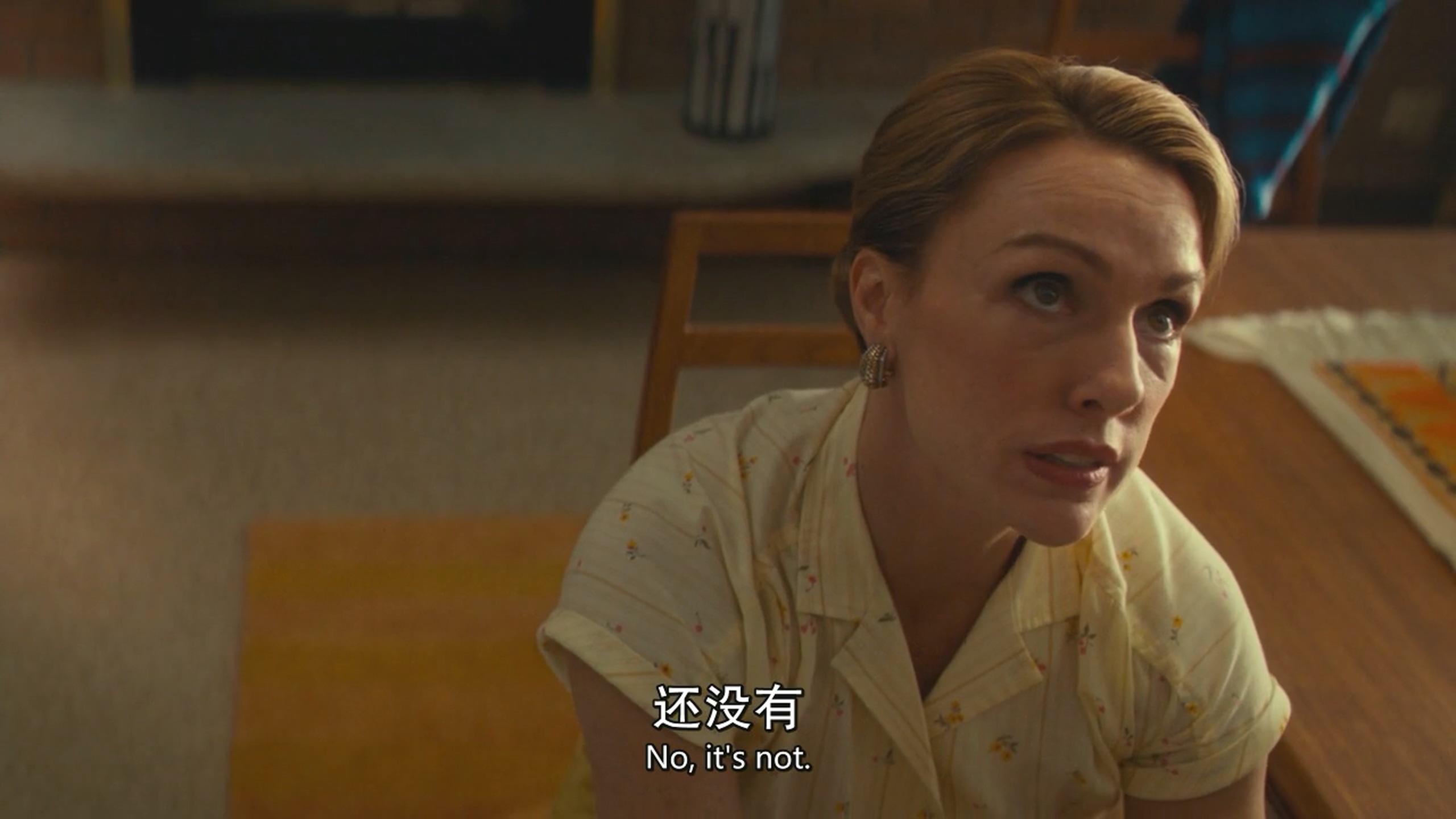 在黑暗中讲述的恐怖故事剧照的剧照