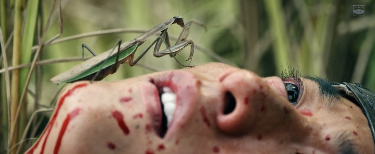 武士马拉松剧照的剧照