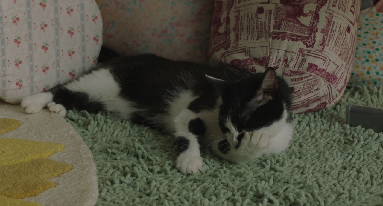 西野的恋爱与冒险剧照的剧照