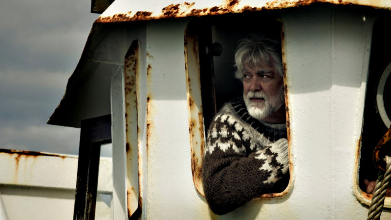 雷克雅未克鲸鱼大屠杀剧照的剧照