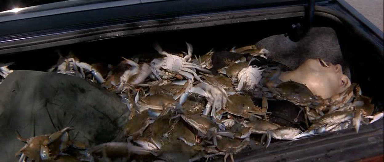 我知道你去年夏天干了什么剧照的剧照