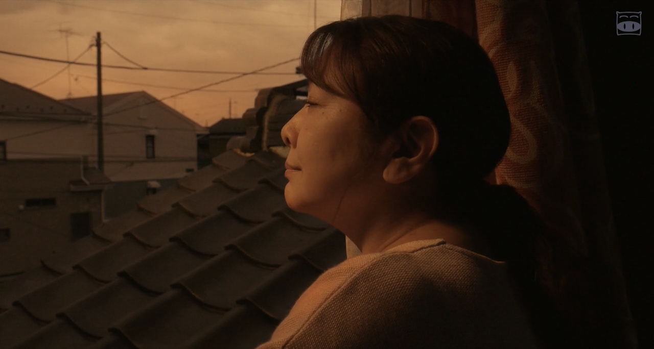 铃木家的谎言剧照的剧照