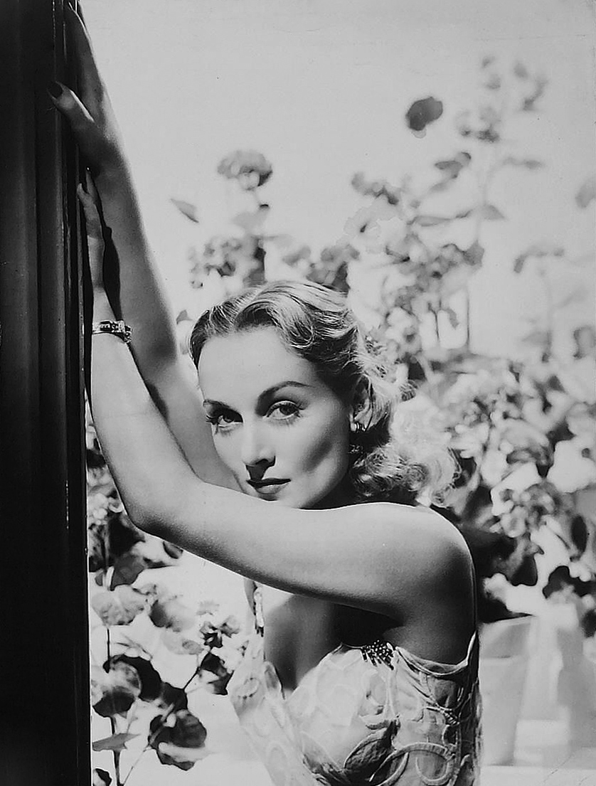 史密斯夫妇剧照的剧照