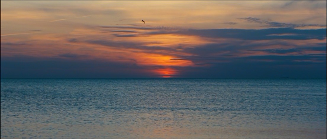 三角关系剧照的剧照