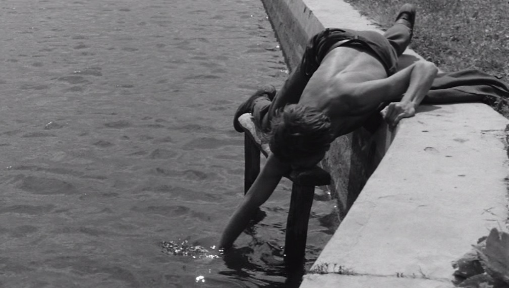 我的归乡路剧照的剧照