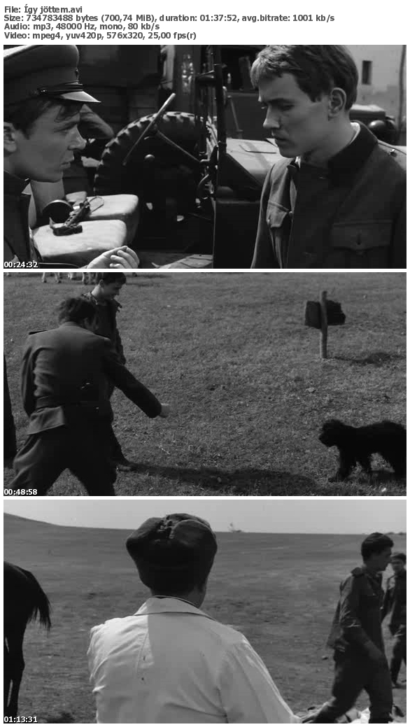 我的归乡路剧照的剧照