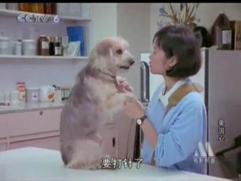 美国心剧照的剧照