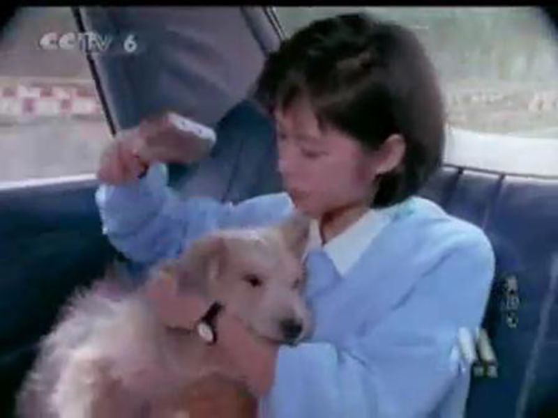 美国心剧照的剧照