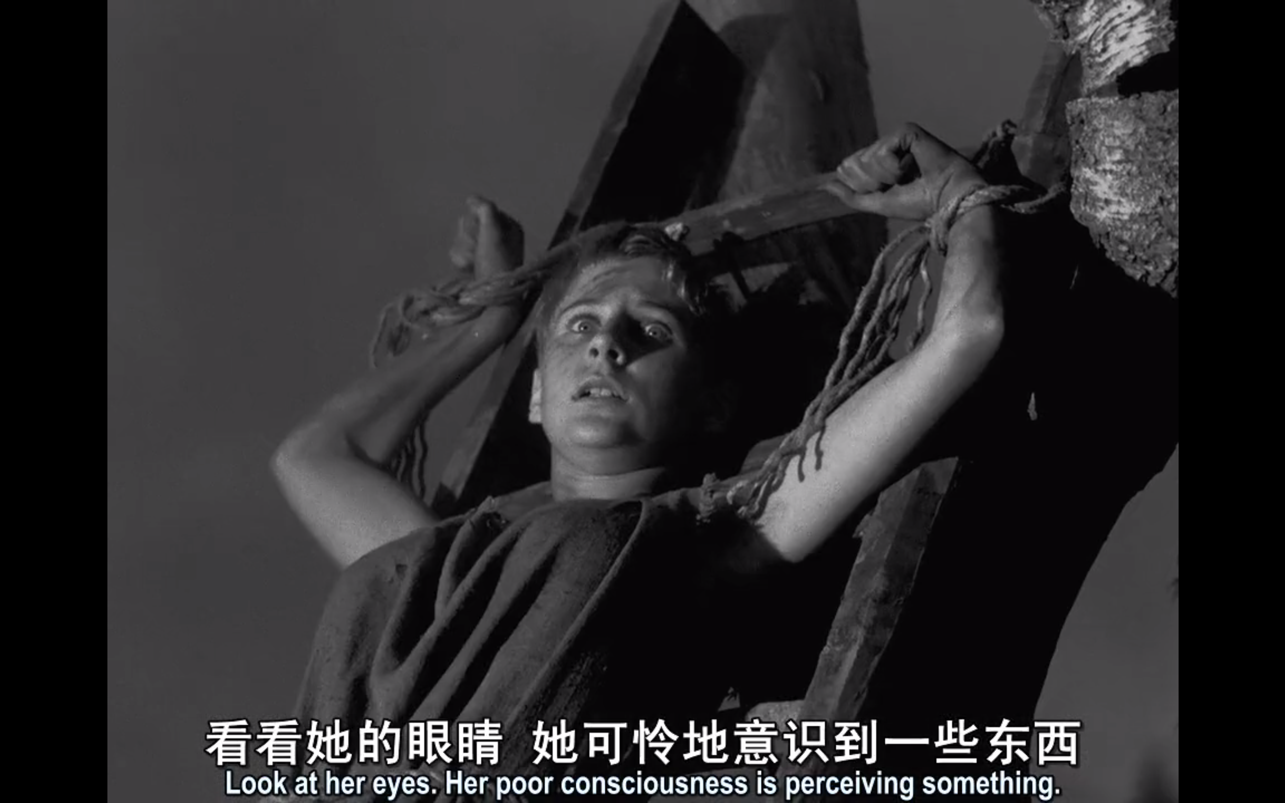 第七封印剧照的剧照