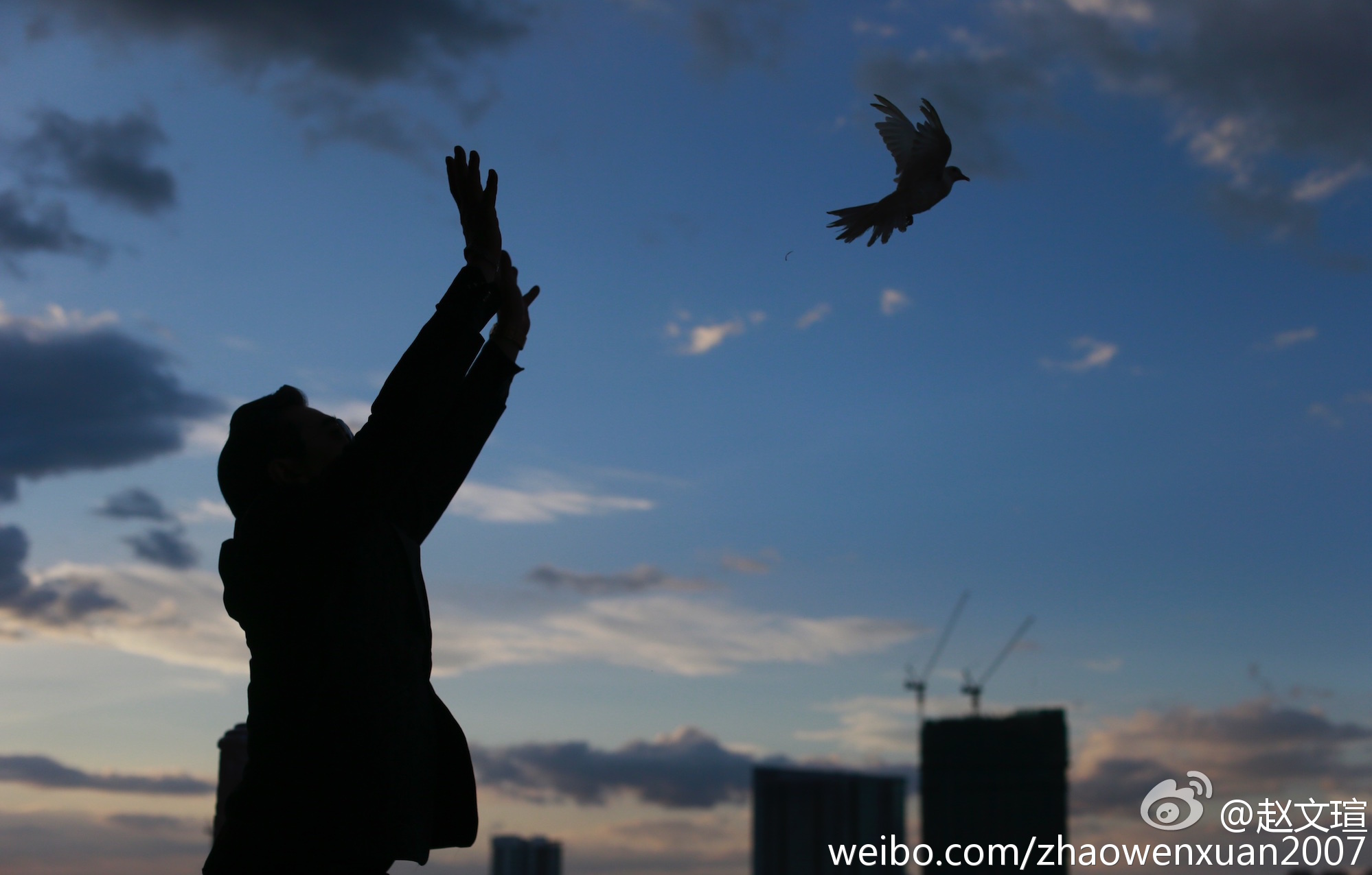 卡巴里剧照的剧照